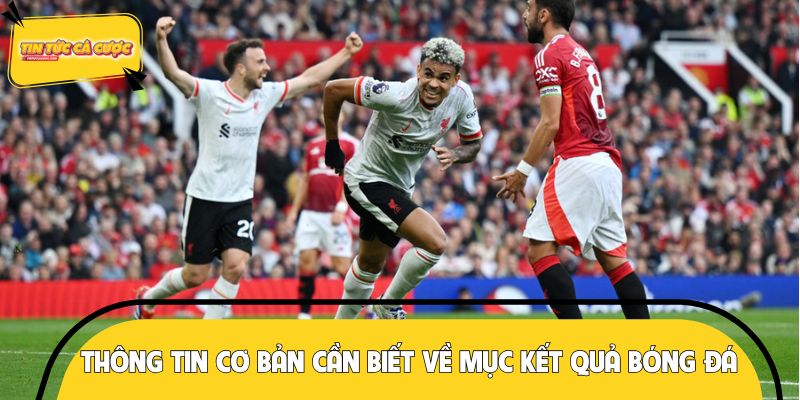 Thông tin cơ bản cần biết về mục kết quả bóng đá