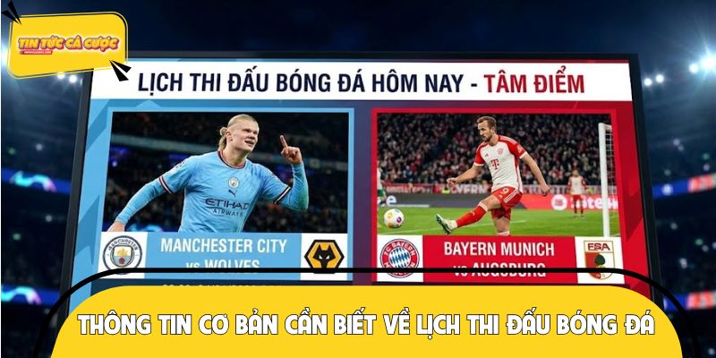 Thông tin cơ bản cần biết về lịch thi đấu bóng đá