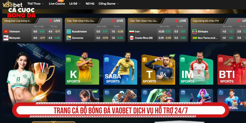 Dịch vụ hỗ trợ trang cá độ bóng đá minh bạch